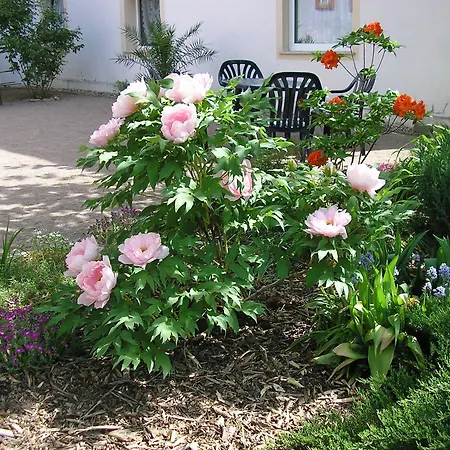 Schloss Triestewitz شقة فندقية آرتْسبيرغ