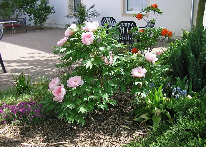 Schloss Triestewitz Aparthotel Arzberg (Saxony)